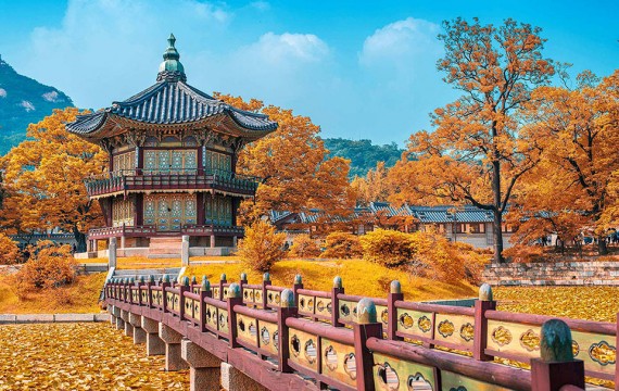KOREA SEOUL – NAMI - EVERLAND 2023