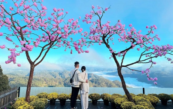 TOUR ĐÀ LẠT NGÀN HOA 3N3D